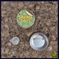 Two buttons on a textured surface, one labeled 'Salad Days' with a coin for scale showing the 2.25" button size.